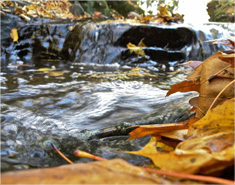 可靠的注册网站求的免费云呼官网